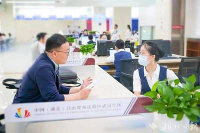 光谷率先设立全国首个低空经济服务窗口，提供专业经济信息咨询